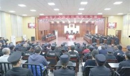 临颍新闻爆料事件最新,真相揭开，舆论漩涡中的正义较量