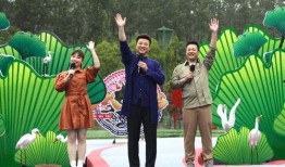 湖西路最新爆料事件视频,视频揭露惊人真相，事件背后有何隐情？